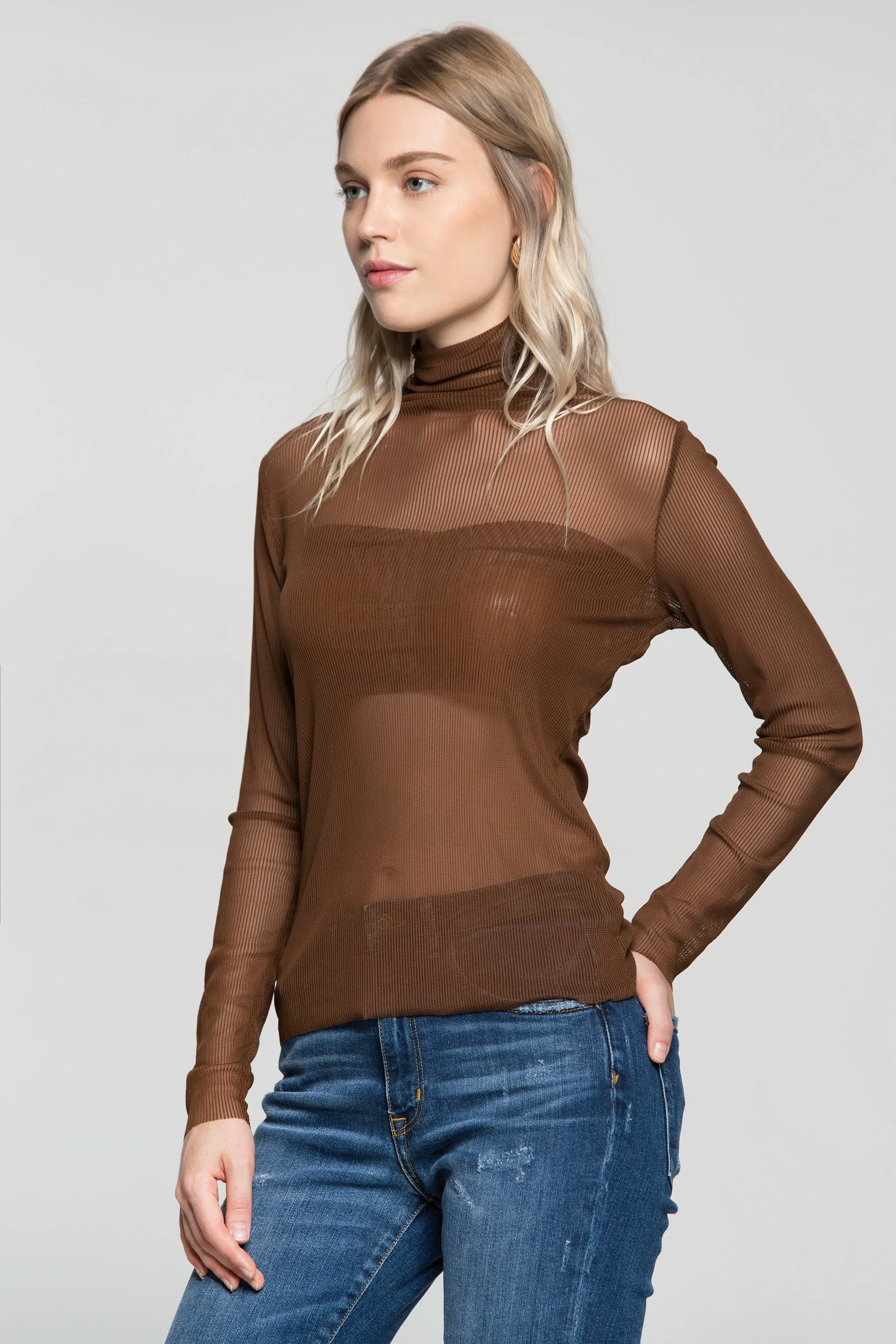 Brown Sheer Turtle Neck Ribbed Top