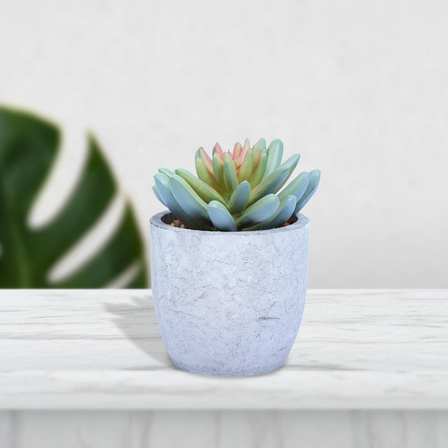 Mini Artificial Plant/Flower in Ceramic Pot/Planter