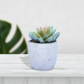 Mini Artificial Plant/Flower in Ceramic Pot/Planter